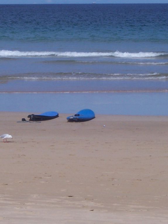 Ein geiles Wochenende an dem berühmten Bondi Beach. Und noch mehr Spaß beim Surfen...