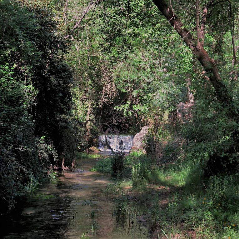 Entre Grabels et Montpellier (La Paillade) coule une rivière...c'est un secret