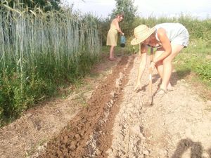 Samedi 24 juin 2023 : activités de saison