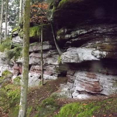 Pierre Percée (54) roche à la tête