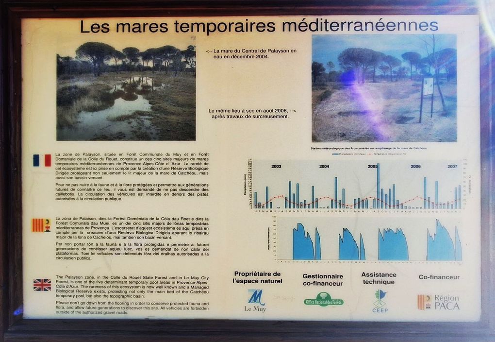 La Ripisylve de l'Endre - le 31 octobre 2024 