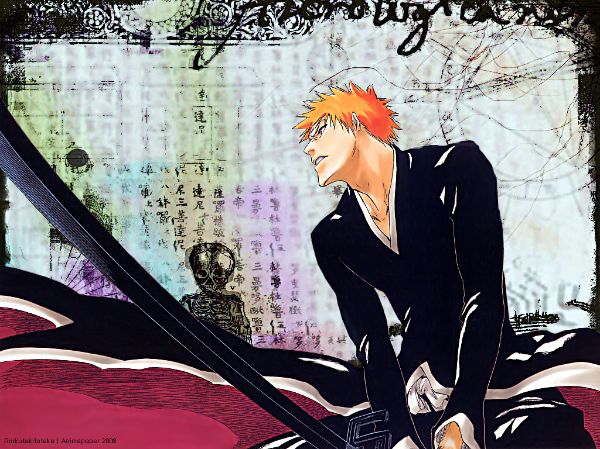 Wallpaper Bleach.