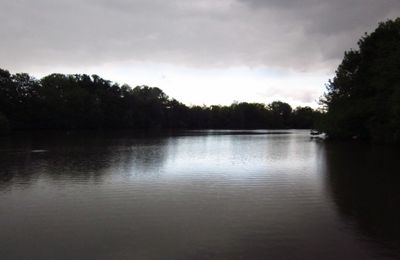 Bientôt l'orage. - Villard-les-Dombes 2013.