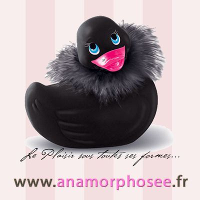 Réunion sextoys Tarn 81 Vente à domicile sur Castres, Albi...