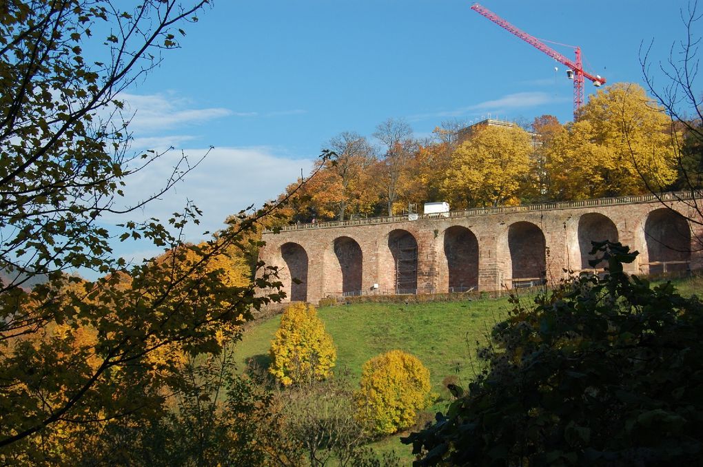 Album - Heidelberg_Herbst_2010