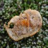 Les escargots d'Escargout seront présent à la foire aux plantes et produits fermier de st germer de fly dans l'oise le 9 mai 2009