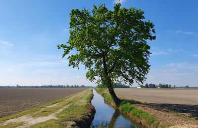 25 avril 2023 - La Via Francigena de Gambolò à Gropello Cairoli