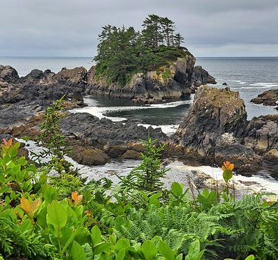 Can22-J48 ... Tofino/Ecluelet : une excursion à Ucluelet