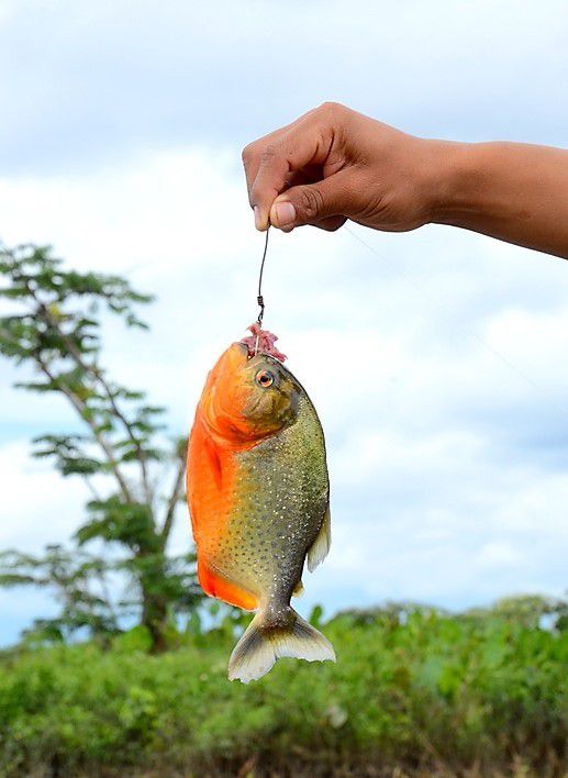 Equateur, 22/08/2016 : la pêche