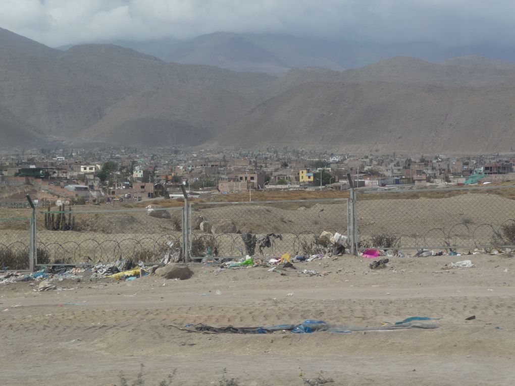 Album - 43.Canyon de Colca (Perou-Janvier)