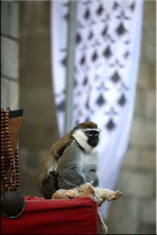 Fête Médiévale de Guerande 2011