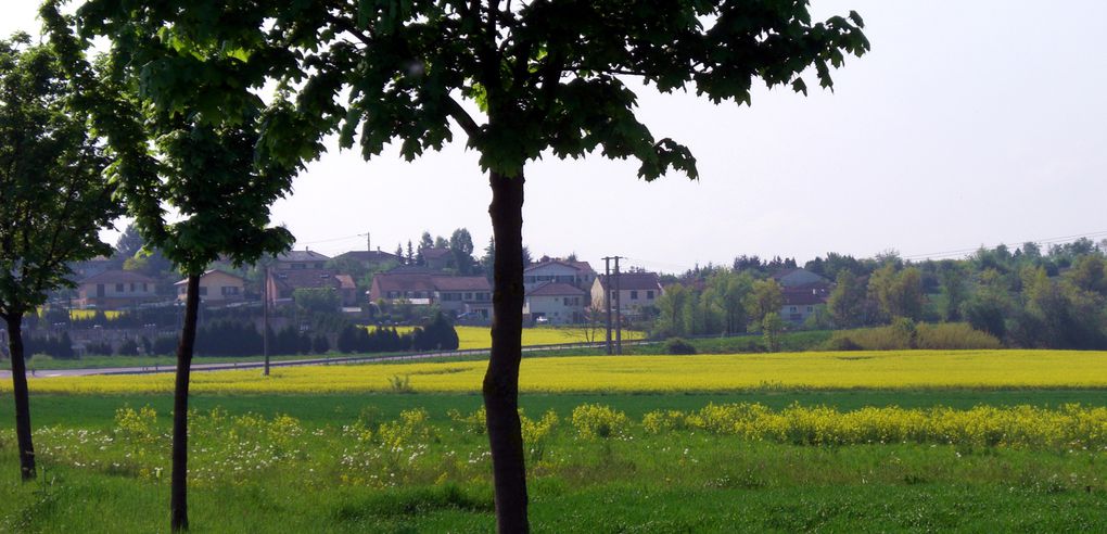 balade à Boulay, Roupeldange, Guinkirchen, Mégange, Drogny, Piblange. Baraques jaunes, reliquat de la Ligne Maginot.