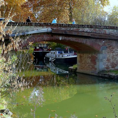 Canal du Midi : un pont