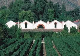 The wine region of Aconcagua in Chile