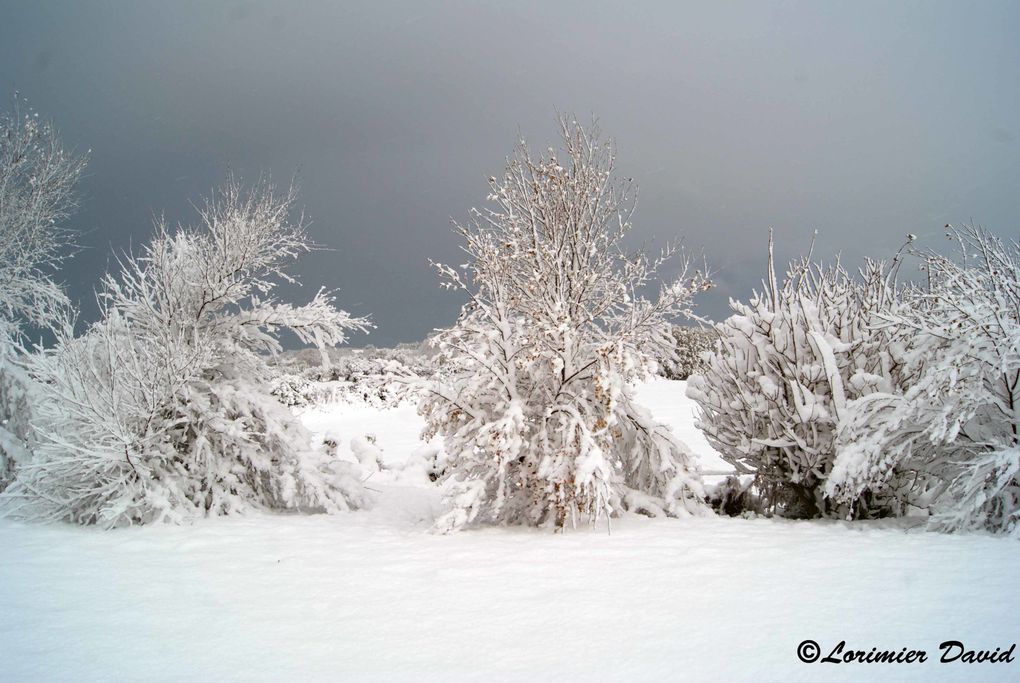 reportage photo de la neige tomber sur le nord cotentin le 27 novembre
2010