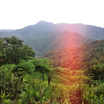 Martinique