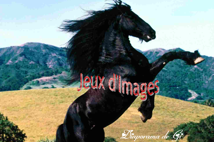 Jeux d'images