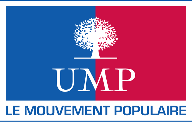 Présidence de l'UMP : une élection sans surprise de Nicolas Sarkozy