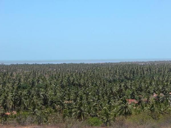 Petit village perdu du Nordeste du Brésil