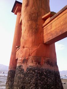 Naoshima Miyajima Hiroshima