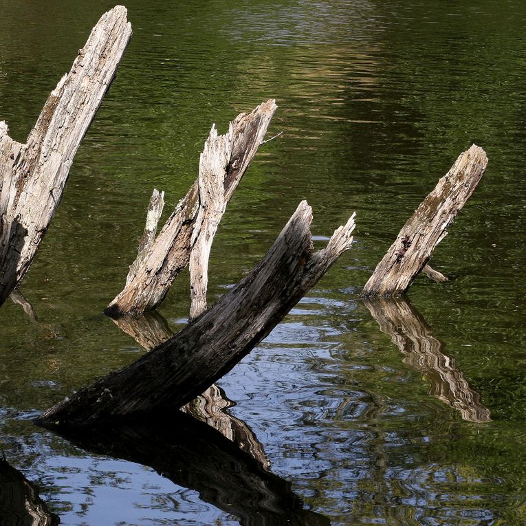 Album - Les carres Bretons