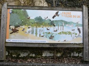 Rando Santé à Tresserve &quot;Vers le Lido par les Mollières&quot;