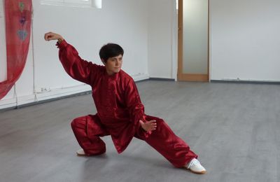 Stages Taiji Quan Style  Yang