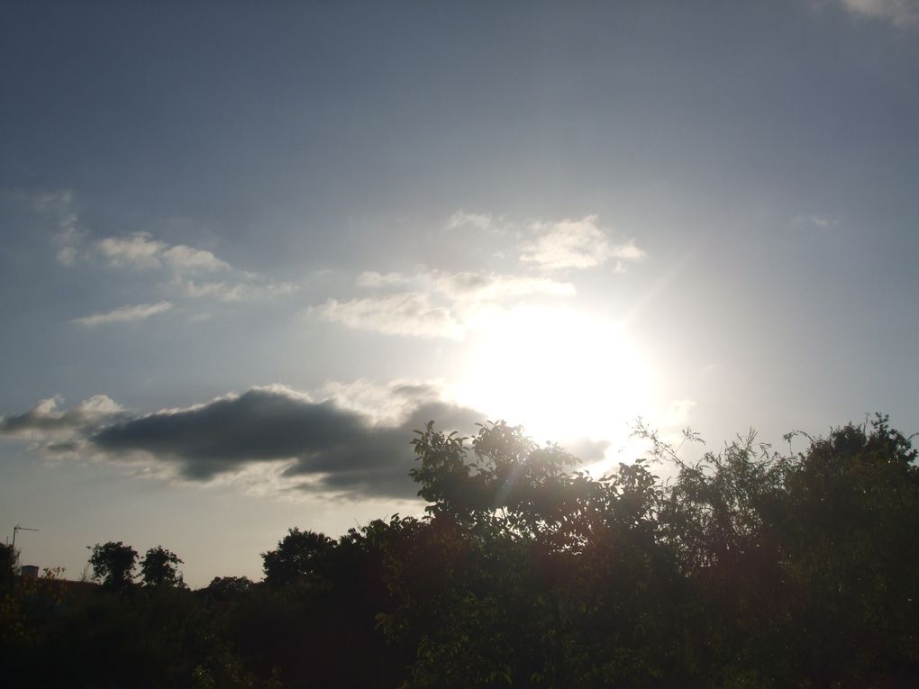 J'aime regarder le ciel. Son immensité me rassure. Sa beauté et ses couleurs m'inspirent, me font réfléchir, rire ou même sourire. J'associe le ciel aux oiseaux, aux rêves, à l'inconnu et à l'espoir. En figeant quelques clichés, j'ai l'impre