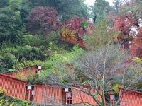 Temple Taikodani Inari Jinja