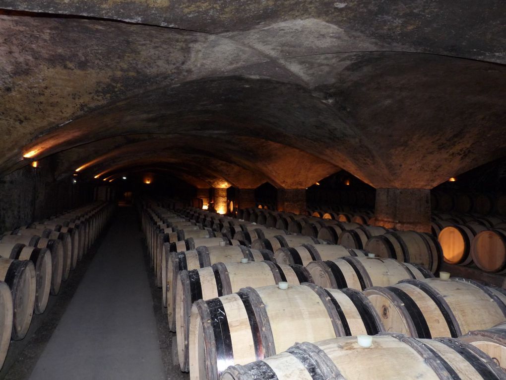 La Bourgogne et ses caves.
Dominique au Clio.
Route du Rhum 2014.