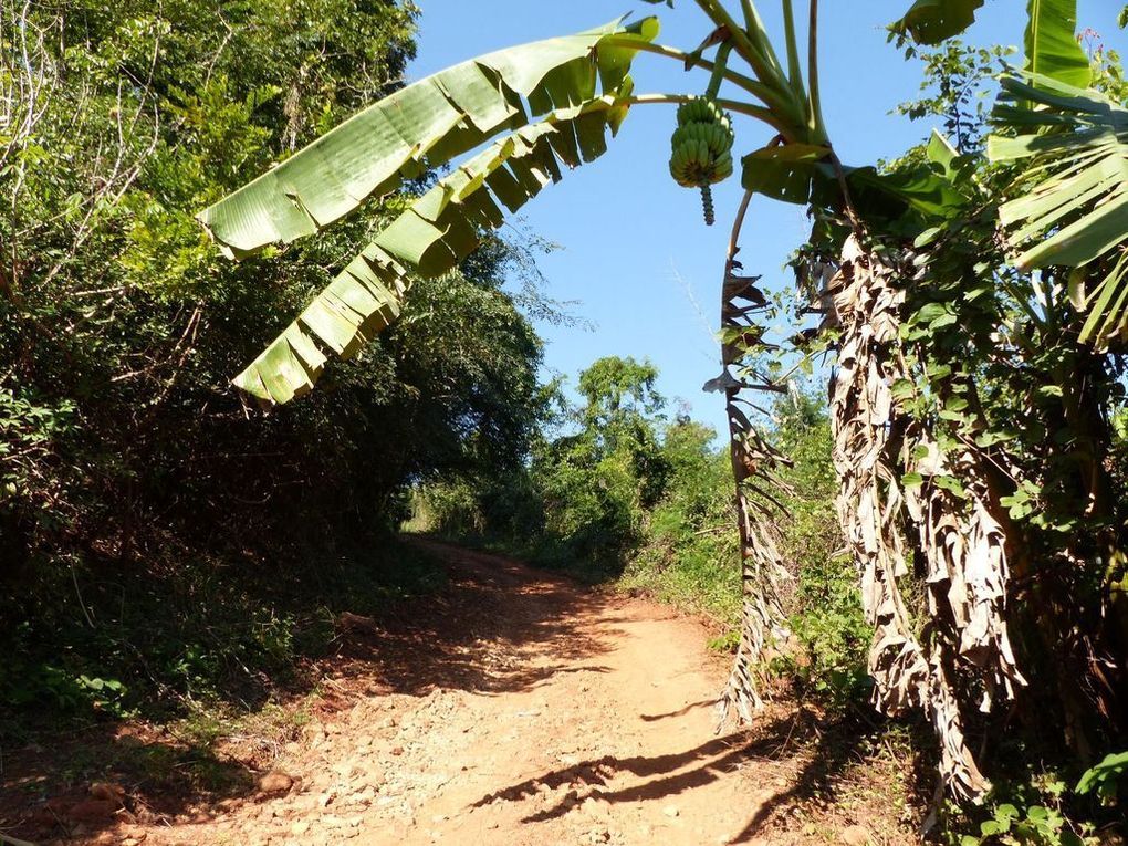 Phu Chom Lao