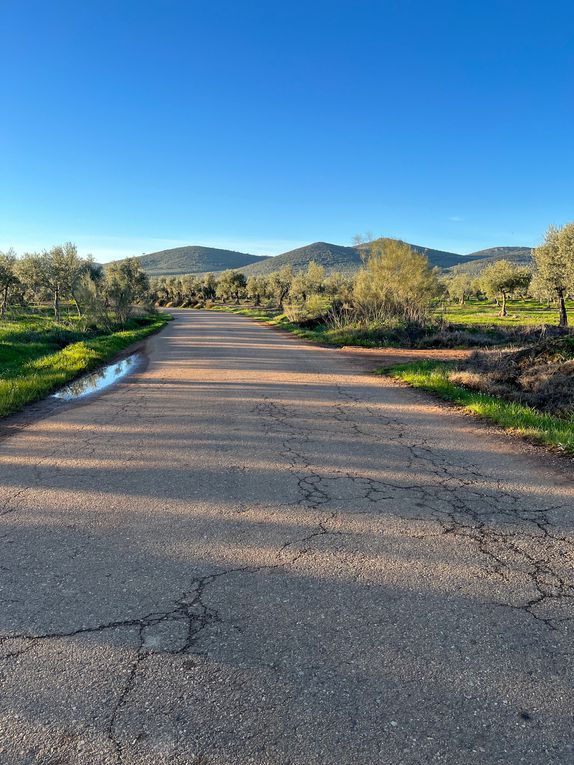 Nous quittons la petite citée où un huile d’olive de qualité est produite DO Monterrubio. Petite route entre les oliveraies m, le soleil éclaire les montagnes devant nous