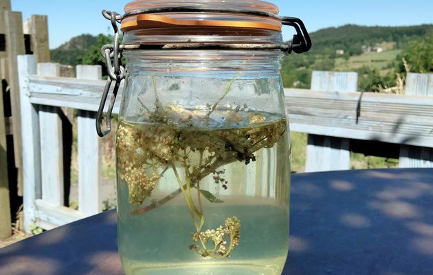 ma boisson préférée de l'été