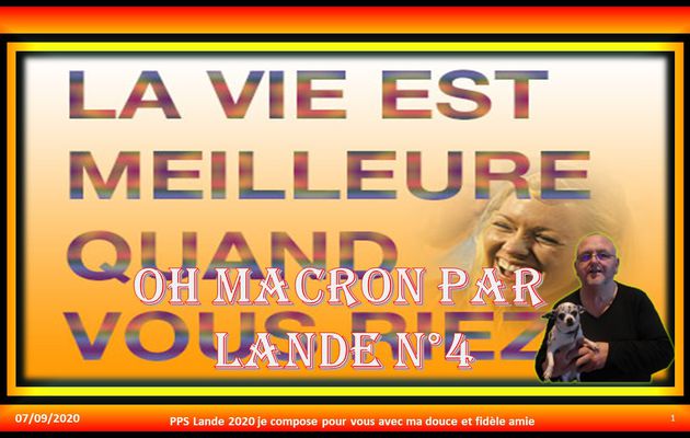 Oh Macron N°4 par Lande.