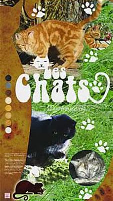 Exposition : Chats, mystérieux amis