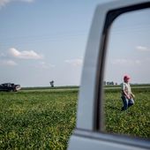 Après le glyphosate, le dicamba fait des ravages aux États-Unis