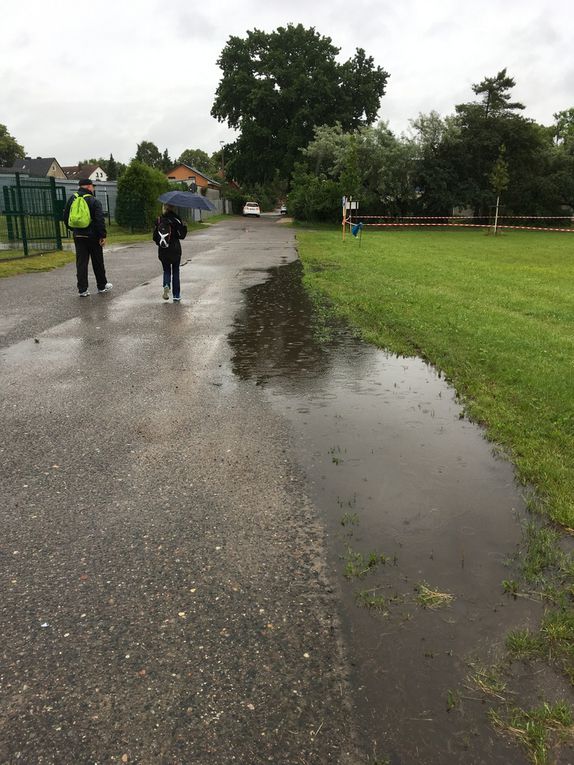 Fünf-Seen-Lauf Schwerin am 01.07.2017