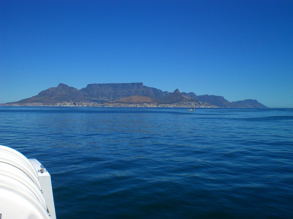 Retour en Afrique du Sud pour un "petit" tournage et enfin pouvoir se rendre a Robben Island.
