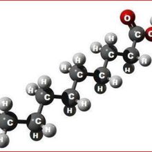 Interdiction du glyphosate : un complot pour promouvoir l'acide pélargonique et le Beloukha ?