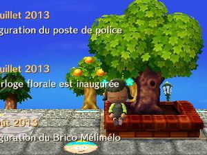 Le secret de l'arbre de la place