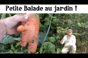 Abondance au jardin 