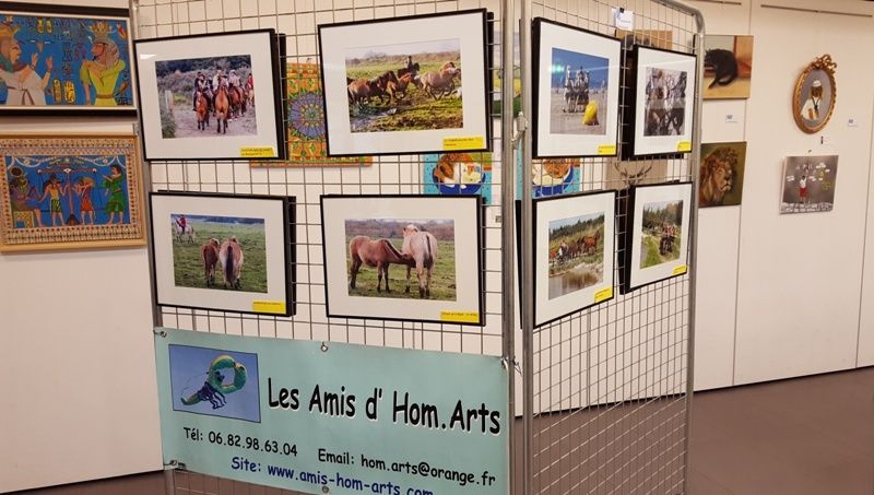 QUELQUES VUES DE NOTRE EXPOSITION...