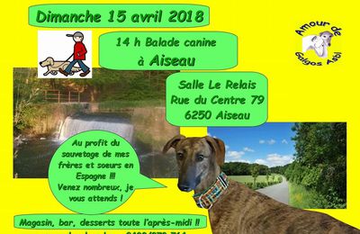 Dimanche 15 avril - Ballade canine à Aiseau dès 14h00