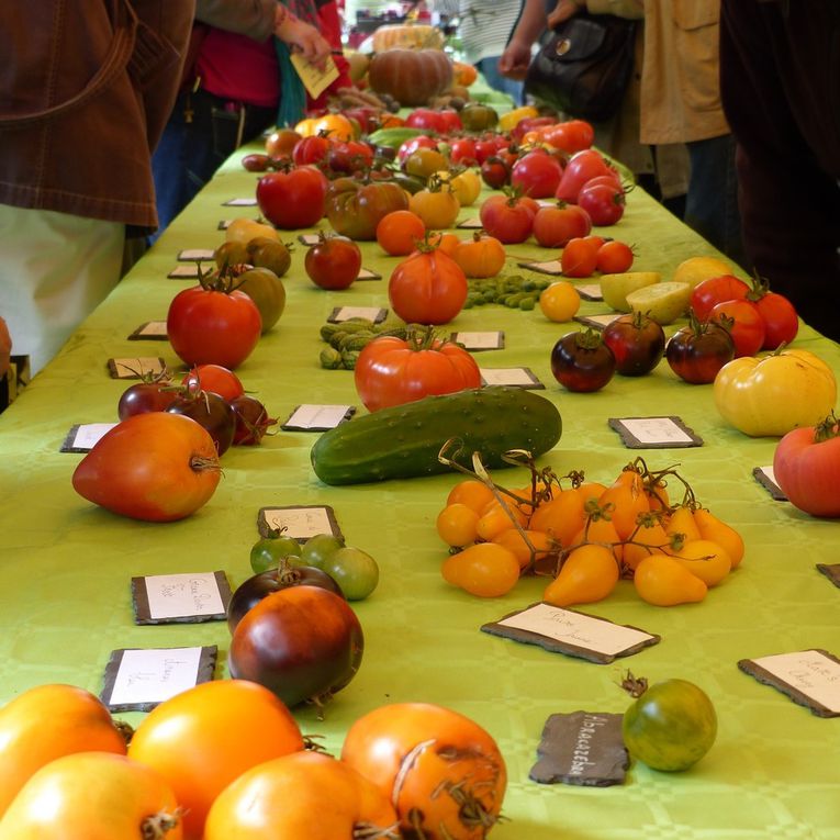 Album - Fete-de-la-tomate-2014-2-