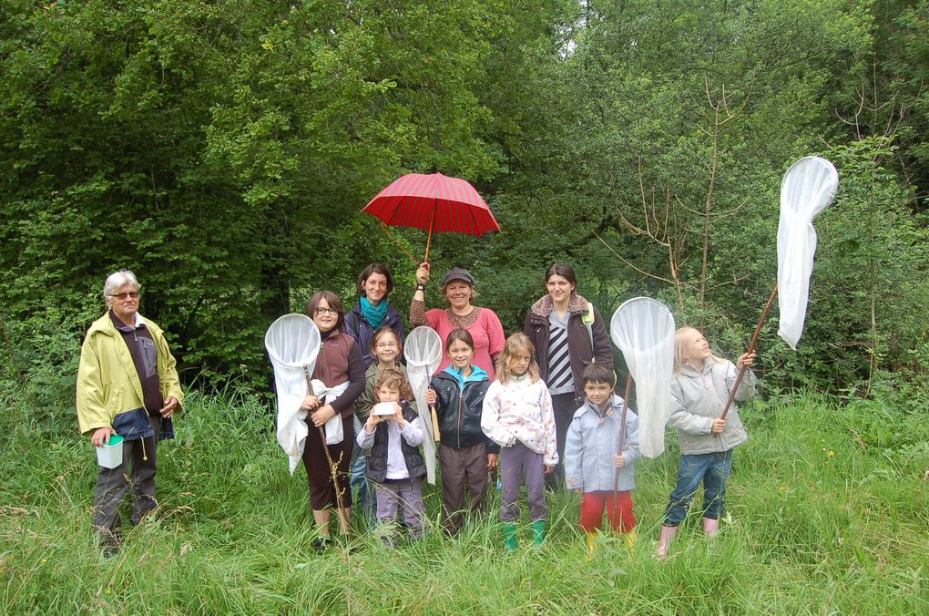 Album - CLUB-DES-PASSERELLES