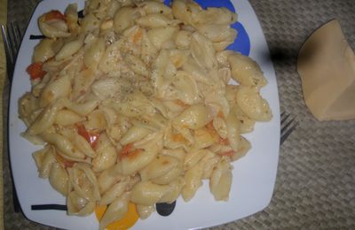 macaroni au fromage et origan