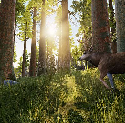 Hunting Simulator : nouvelle vidéo le bestiaire !