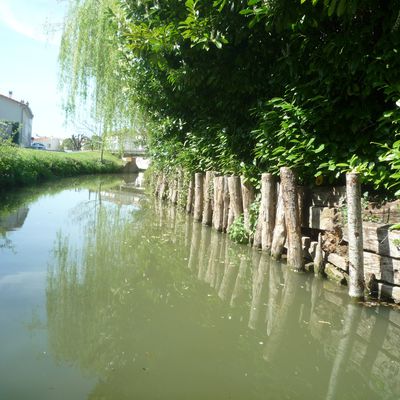 La marais Poitevin - Part I