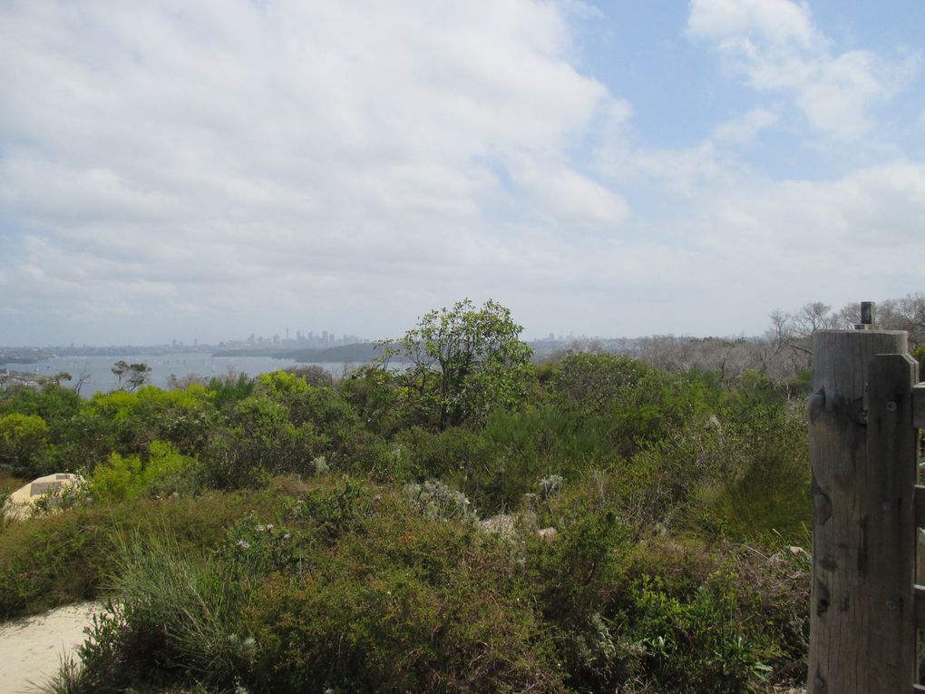 ouahhhhhhh  .... à couper le souffle !!!! voici la baie de Sydney ! (en vrai ça rend bien mieux !! dsl)