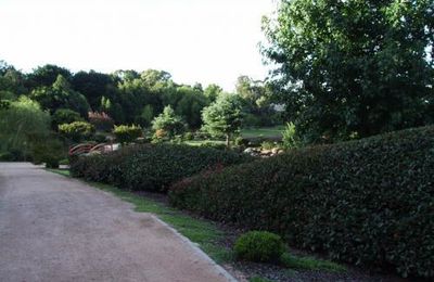 d autre photo du jardin japonnais